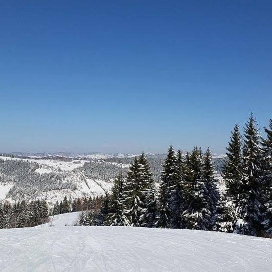 Milanova Koliba Zlatar Villa Nova Varoš Eksteriør bilde